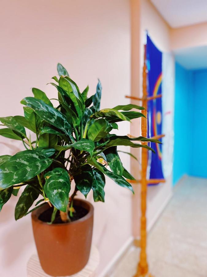 Aurora - Apartamento Recife